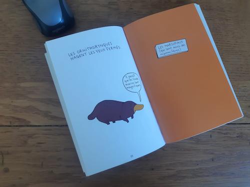 Sacs personnalisés avec message surprise 